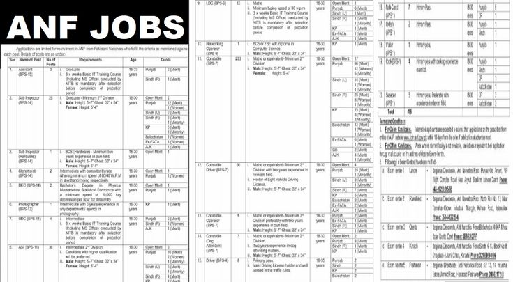 anf jobs 2024 latest apply online