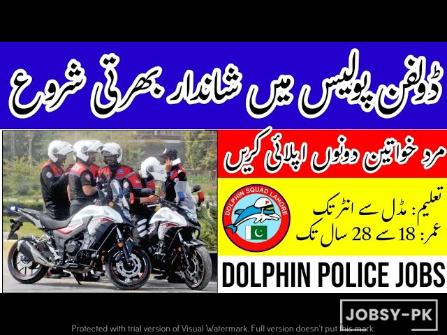 dolphin police jobs advertisement